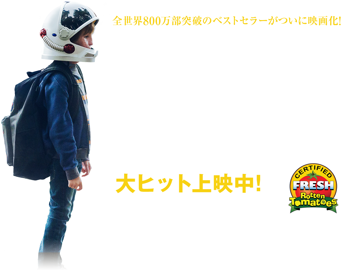 wonder