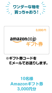 Amazonギフト券3,000円分